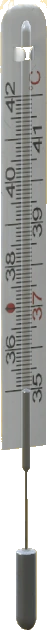 Medical Thermometer