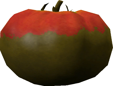 Tomato