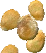 Tomato Seeds