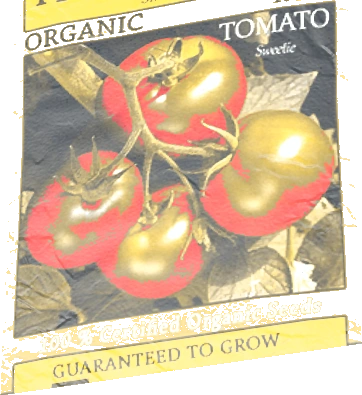 Packed Tomato Seeds