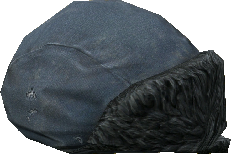 Ushanka