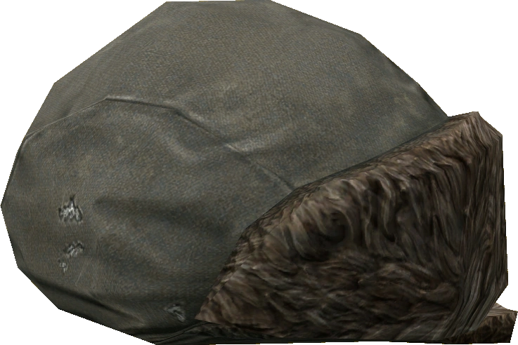 Ushanka