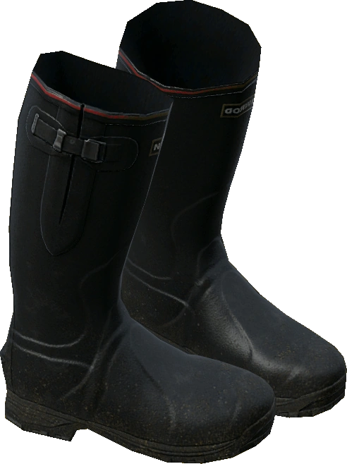 Wellies