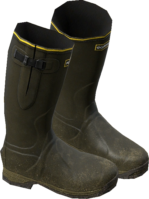 Wellies