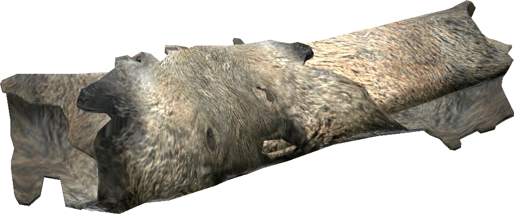 Boar Pelt