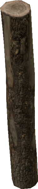 Wooden Log