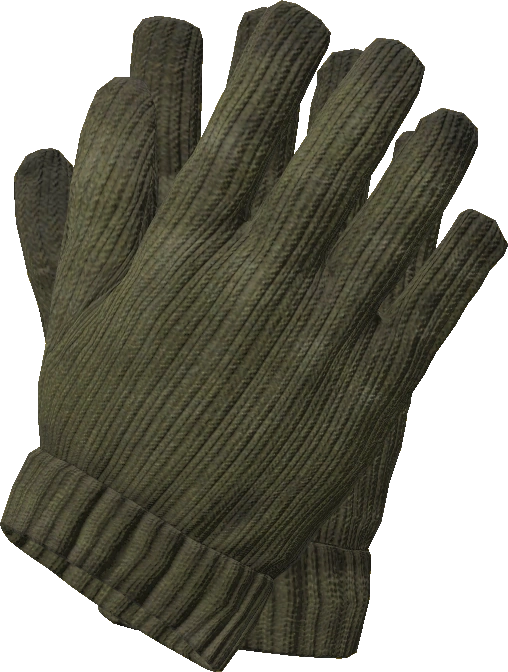 Wool Gloves