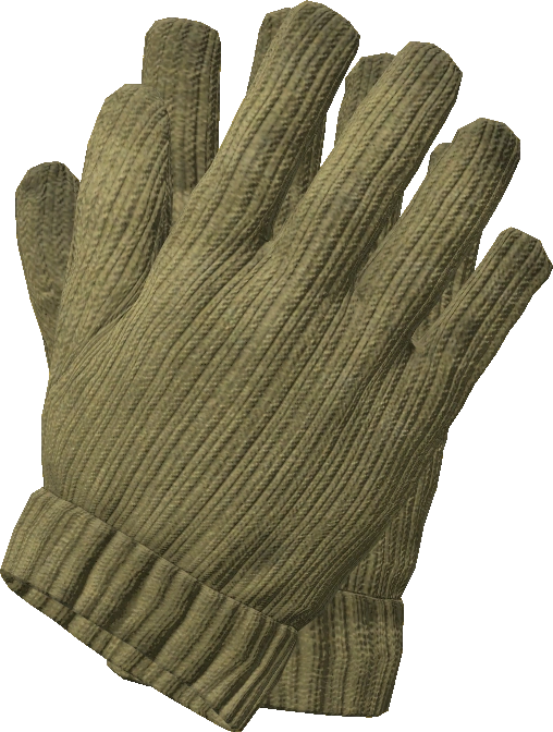 Wool Gloves