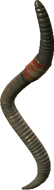 Earthworm
