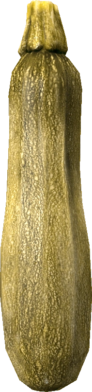 Zucchini