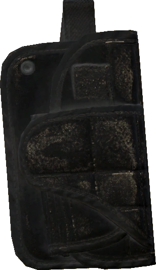 Holster