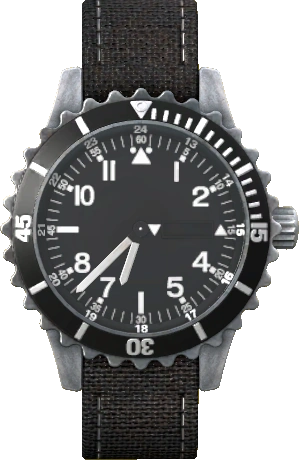 Wristwatch