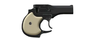 Derringer .22