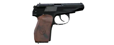 PM Makarov